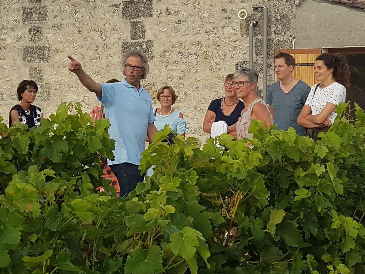 Le Coeur Des Vignes Hotel Pauillac Ngoại thất bức ảnh